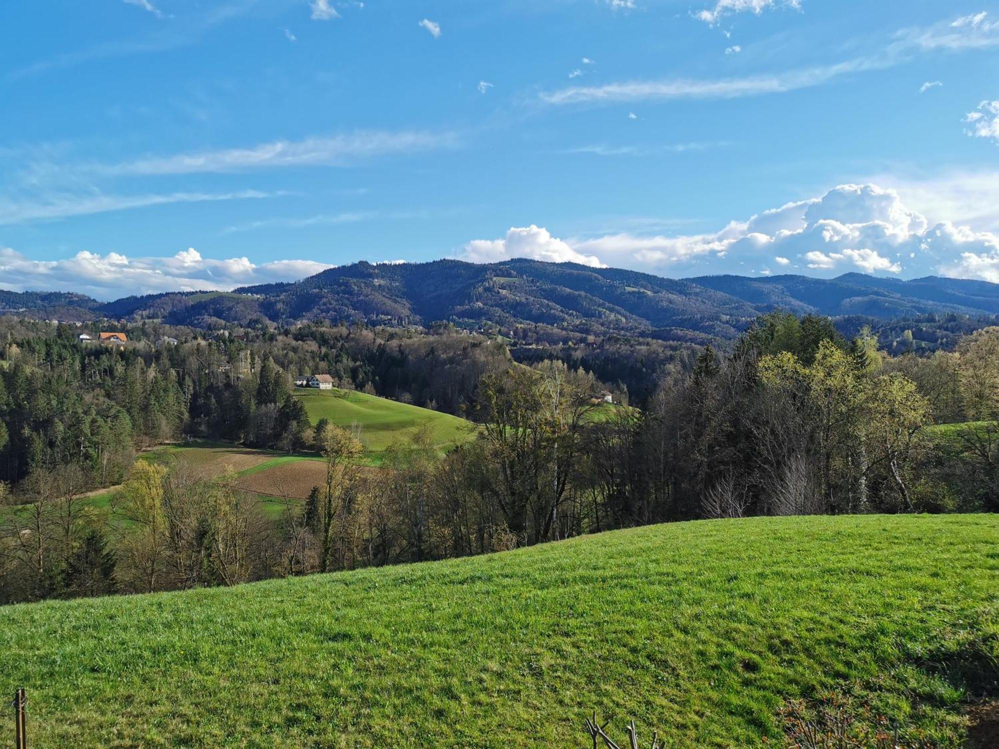 Traumhaftes Ferienhaus Am Lateinberg - 8455 Eibiswald Suedsteiermark Exterior foto
